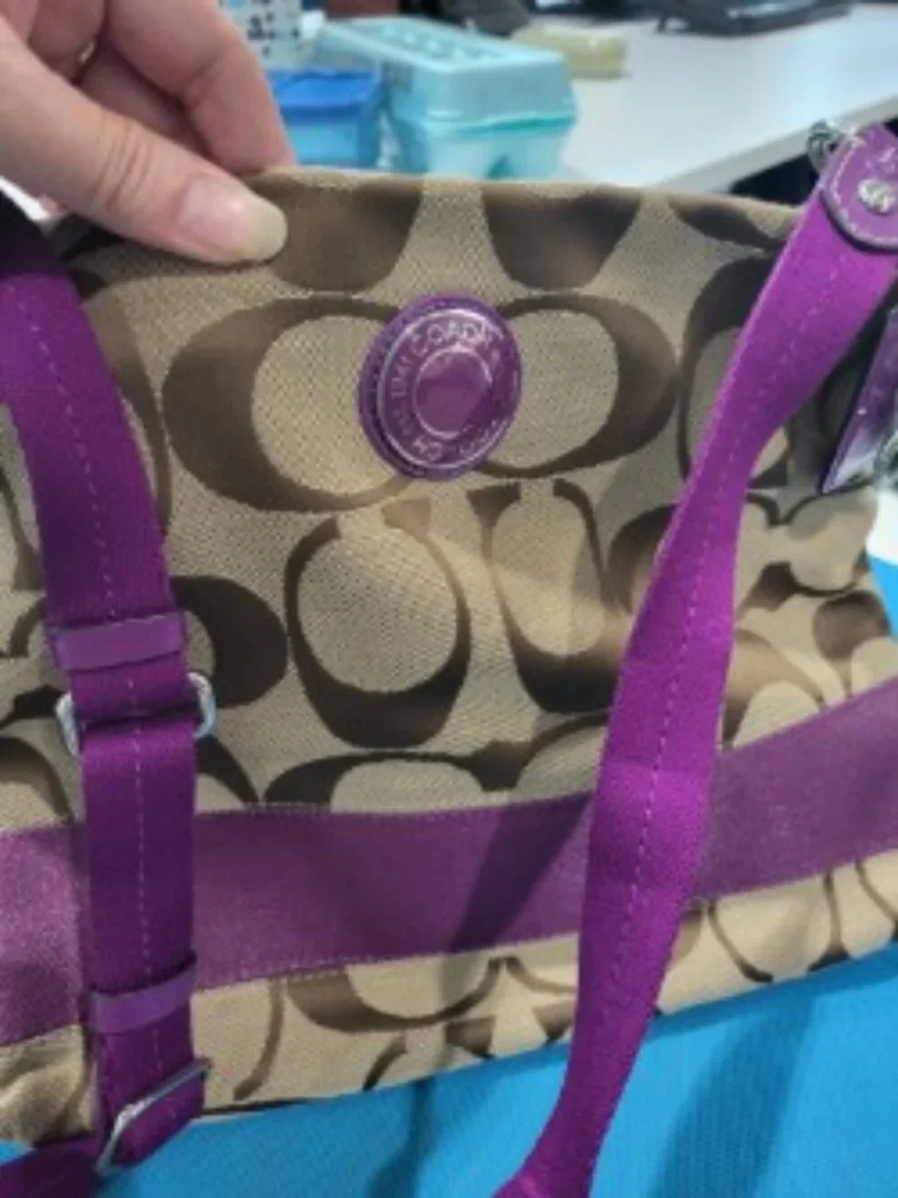 Coach Signature Stripe File Crossbody Bag (Style # F19220)